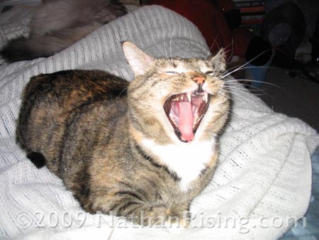 Yawning