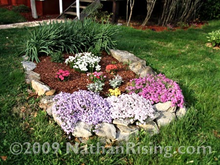 One of our flower beds