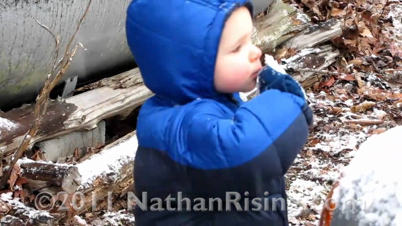 youtube placeholder image